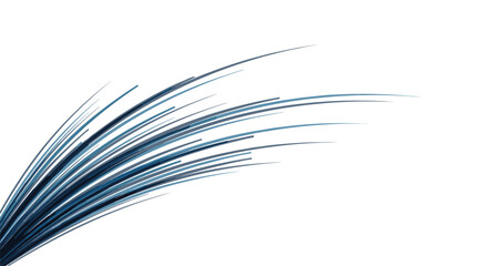 Fototapeta premium Dynamic abstract composition of thin blue curved lines sweeping across a white background representing speed, motion, and technology.