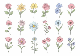 Obraz premium Airy watercolor flowers arranged in a soothing and elegant botanical design