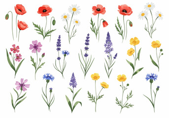 Fototapeta premium Soft botanical elements painted in watercolor with gentle color transitions