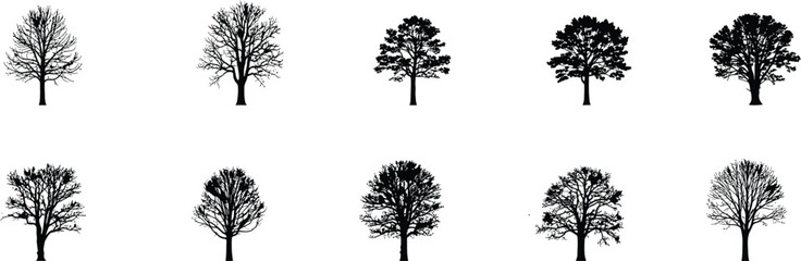 Fototapeta premium Collection of silhouetted evergreen trees a black and white vector illustration