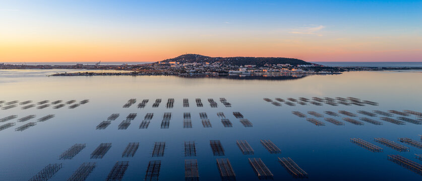 The Thau lagoon and its tables at sunrise