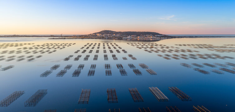 The Thau lagoon and its tables at sunrise