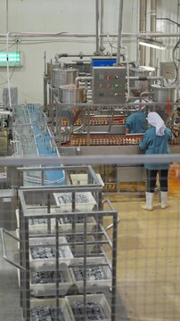 Automated Production: Workers attending an automated food production line, the image conveys efficiency and precision in a modern factory setting.
