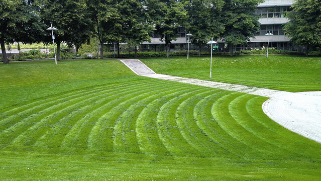 Freshly mown lawn in a park area with curved patterned lines on a sunny day