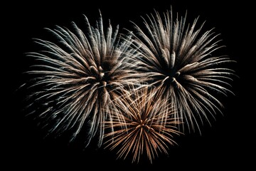 Fototapeta premium A stunning display of fireworks illuminates the night sky with bursts of golden and silver light against a stark black backdrop.
