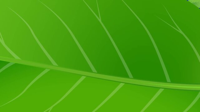 Video transition of green flying leaves on chroma key. Looping video alpha channel