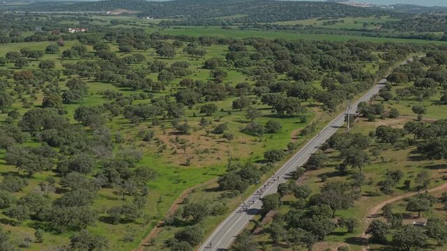Drone shot of cycling race peloton riding on rural road through green countryside landscape