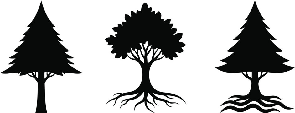 Forest tree pine and oak silhouette collection