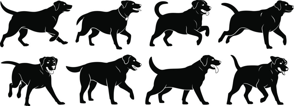 Black labrador dog silhouettes in various poses 
