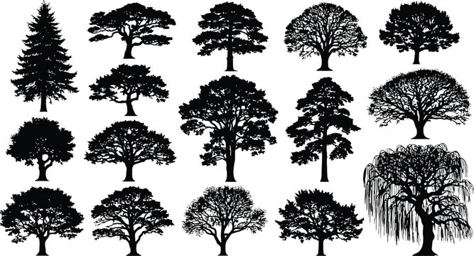 Diverse silhouettes of various tree types and styles in black and white artwork Vector