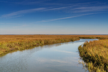 idyllic salt marsh landscape in the South Carolina Lowcountry near Beaufort © makasana photo