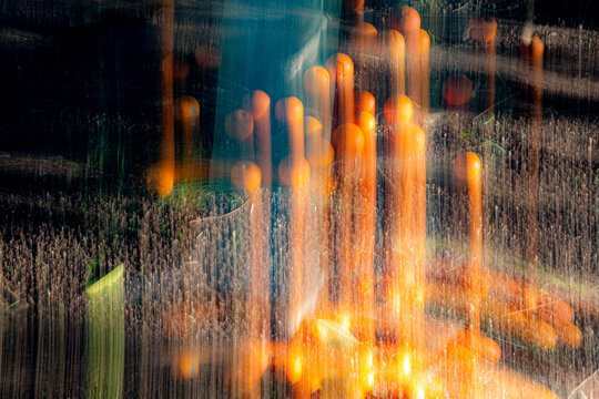 Abstract ICM photography of vibrant bitter oranges. Vertical motion blur creates a painterly texture. Artistic Mediterranean citrus fruit background for creative design projects and digital art.