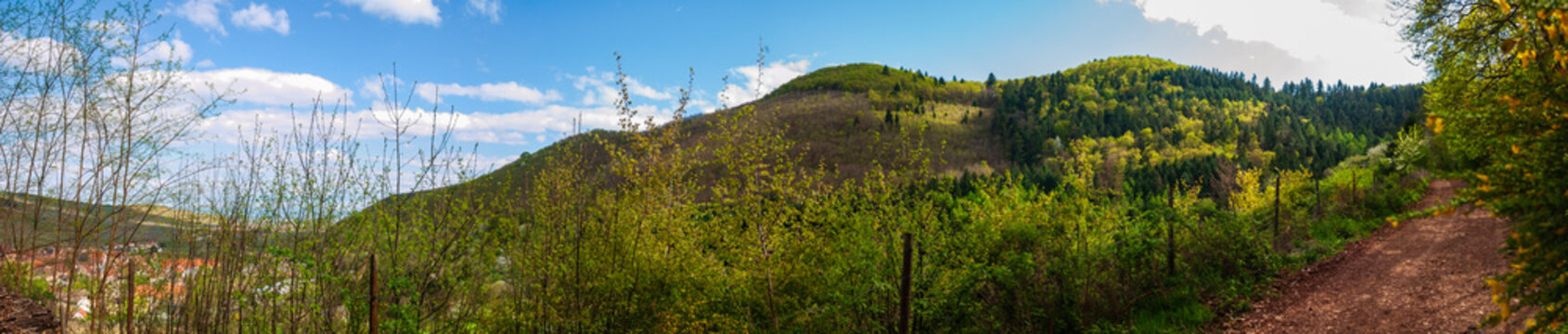 Chemin de randonn&eacute;e offrant une vue imprenable sur Kaysersberg vignoble, Alsace, CAE, Grand Est, France