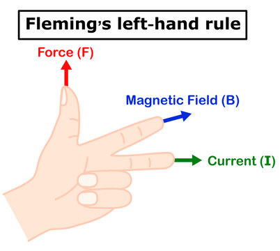 Fleming&rsquo;s left-hand rule showing the relationship between force (F), magnetic field (B), and electric current (I). Educational physics concept with labeled fingers.Isolated.Vector illustration.