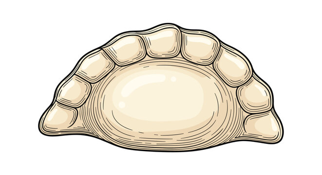 Detailed illustration of a traditional pierogi or dumpling with a crimped edge, hand drawn vector food art for culinary and recipe projects.