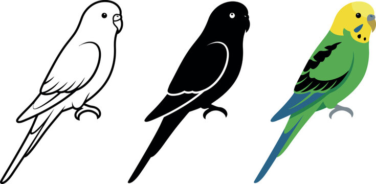 Three colorful parakeets or budgies in different styles and colors standing alone