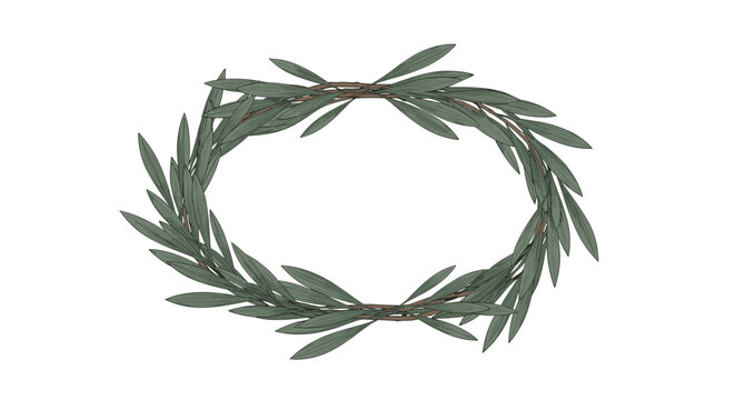 Elegant olive leaf wreath forms an oval frame on a plain white background symbolizing peace, victory, and natural beauty concepts.