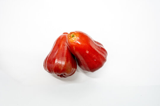 Two red wax apples touching together with natural shine and water droplets isolated on white background tropical fruit connection concept