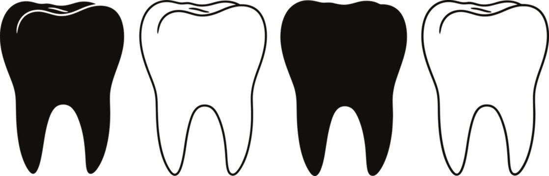 Four tooth illustrations black and white depictions of human teeth for dental representation