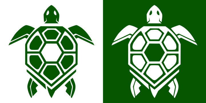 Turtles are depicted in white and green illustrations side by side.