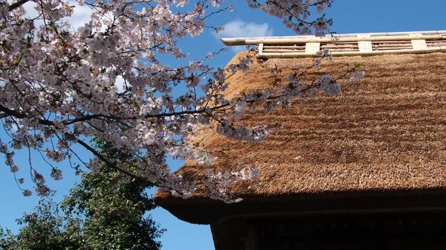 山門の茅葺屋根