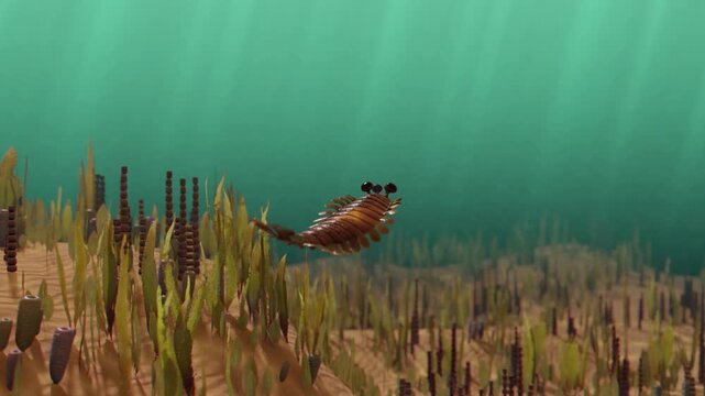 3D animation of the Cambrian marine creature, Opabinia regalis, swimming in the water. Video shows its detailed anatomy, including its five eyes and long frontal proboscis with a terminal claw.
