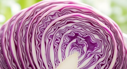 Obraz premium Textura macro de cebolla fresca, capas de cebolla roja púrpura, fondo vegetal orgánico, ingrediente de cocina saludable, patrón natural, fondo de comida, detalle de primer plano