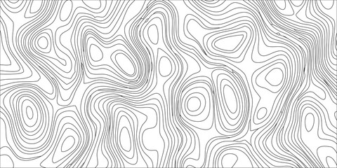 Fototapeta premium Vector abstract topographic contour background with wavy lines and shapes in black on white