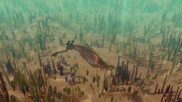 3D animation of the Cambrian marine creature, Opabinia regalis, swimming in the water. Video shows its detailed anatomy, including its five eyes and long frontal proboscis with a terminal claw.