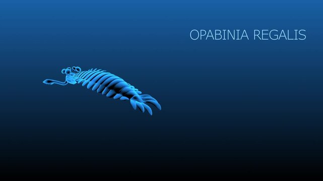 A schematic 3D video loop capturing a full camera orbit around an Opabinia regalis, visualized with a glowing blue wireframe and magenta internal organs