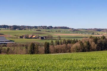 Fototapeta premium Green field and rural countryside panorama. Wide green field with rolling countryside and scattered houses in distance. Ideal for agriculture, rural lifestyle and landscape backgrounds