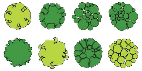 A collection of eight diverse trees and plants depicted from a top-down perspective for architectural landscape plans. © md