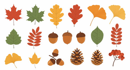 Diverse collection of autumn foliage and natural elements, featuring colorful leaves, acorns, and pine cones, perfect for fall season graphic designs and projects © Tharusha