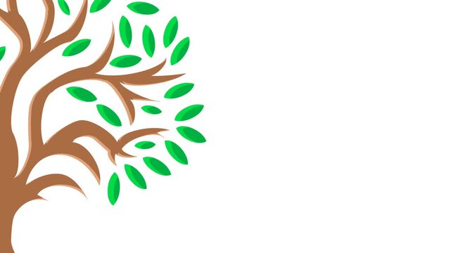 Animation of tree growing. Ecology and nature conservation concept. with white background and copyspace
