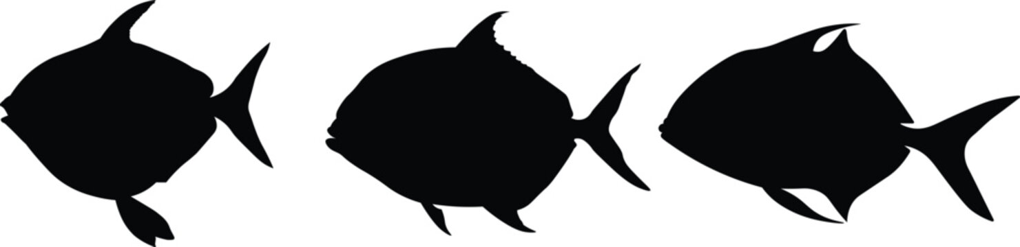 Opah fish silhouette, black image isolated on white background