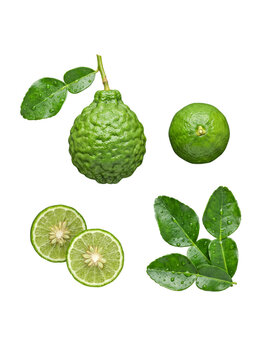 Fresh kaffir lime and green lime assortment with leaves and cut slices, isolated on a transparent background.