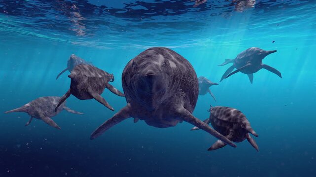 Realistic 3D CGI animation of a pod of giant prehistoric ichthyosaurs (Shastasaurus and Shonisaurus) swimming together in the deep blue ocean. 