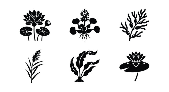 Black silhouette aquatic plants collection, 6 vector icons of water lilies and seaweed, botanical pond flora set for nature branding and logo design