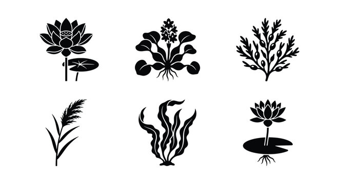 Minimalist aquatic plant icons, black silhouette water lily and seaweed set, 6 botanical vector elements for nature branding and logo design