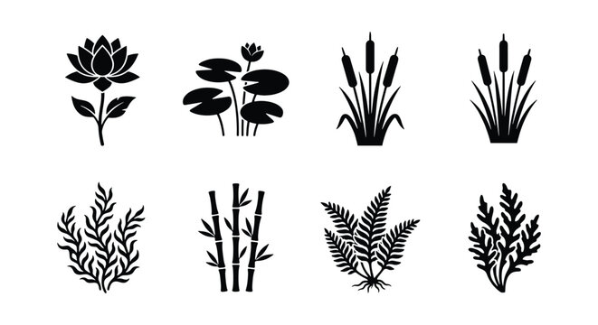 Minimalist aquatic plant icons set, black silhouette water lily and lotus vector illustrations, swamp cattail and bamboo foliage symbols