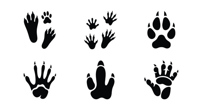 Animal paw prints collection, black silhouette wildlife track icons, set of 6 predator and mammal footmarks, nature trail vector elements