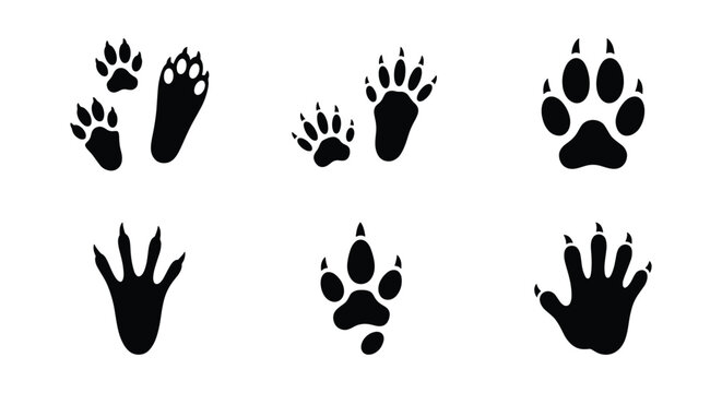 Animal paw prints vector set, black wildlife track silhouettes, forest creature footprint icons, 6 nature trail elements for hunting and biology