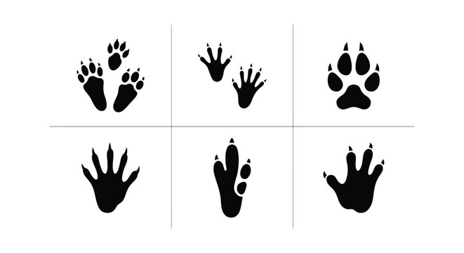 Animal track silhouettes set, black wildlife paw prints and rodent footmarks, 6 vector icons of forest creature footprints for nature tracking
