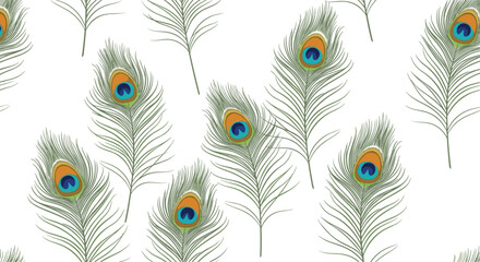 Obraz premium Seamless pattern of elegant peacock feathers with vibrant blue and green eyespots scattered on a white background.