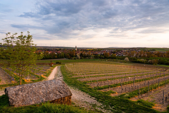 Petersberg Kulturweg (Gau-Odernheim) April 2026