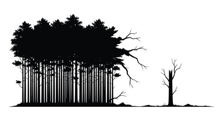 Silhouetted forest with dense trees and a solitary bare tree © PROMA