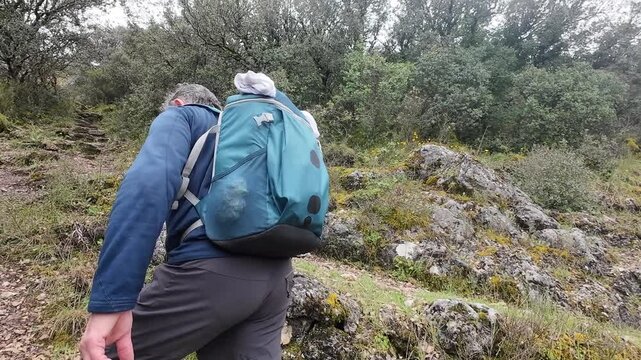 Two male hikers, one senior and one younger, ascending a steep and rocky path through a dense forest, enjoying an active outdoor lifestyle