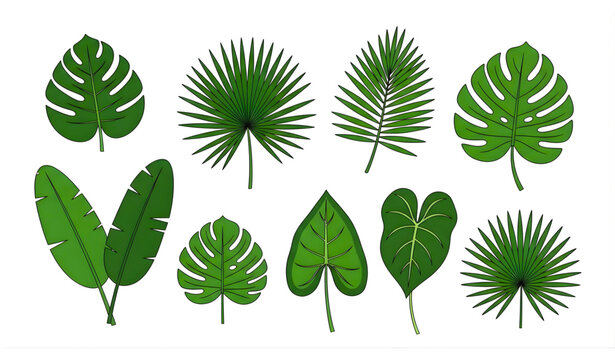 Flat Tropical Leaves Vector Set