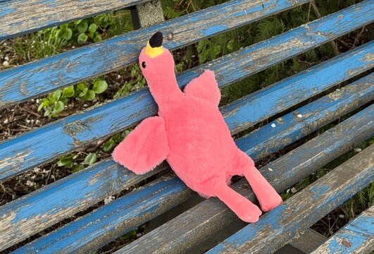 red wooden bench