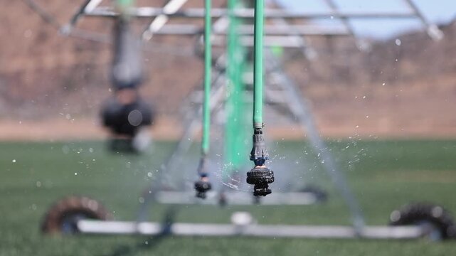 Select focus bubbler irrigation nozzle waters food crop, nice bokeh